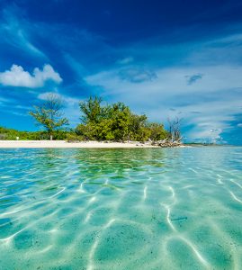 Bimini